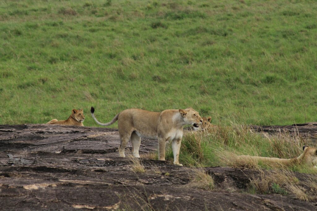 Kenya