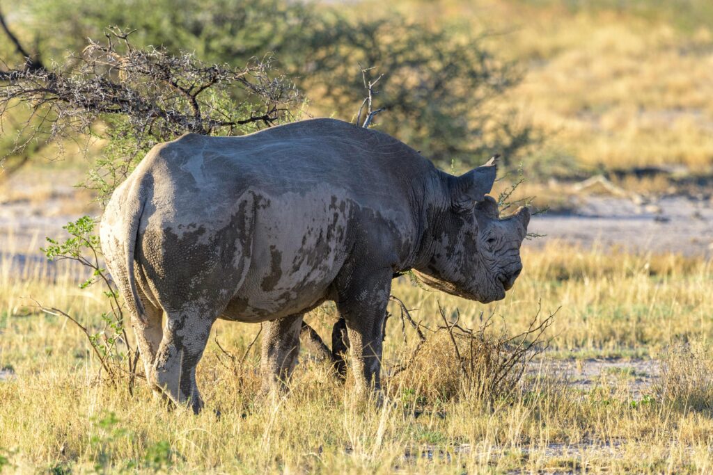 Namibia