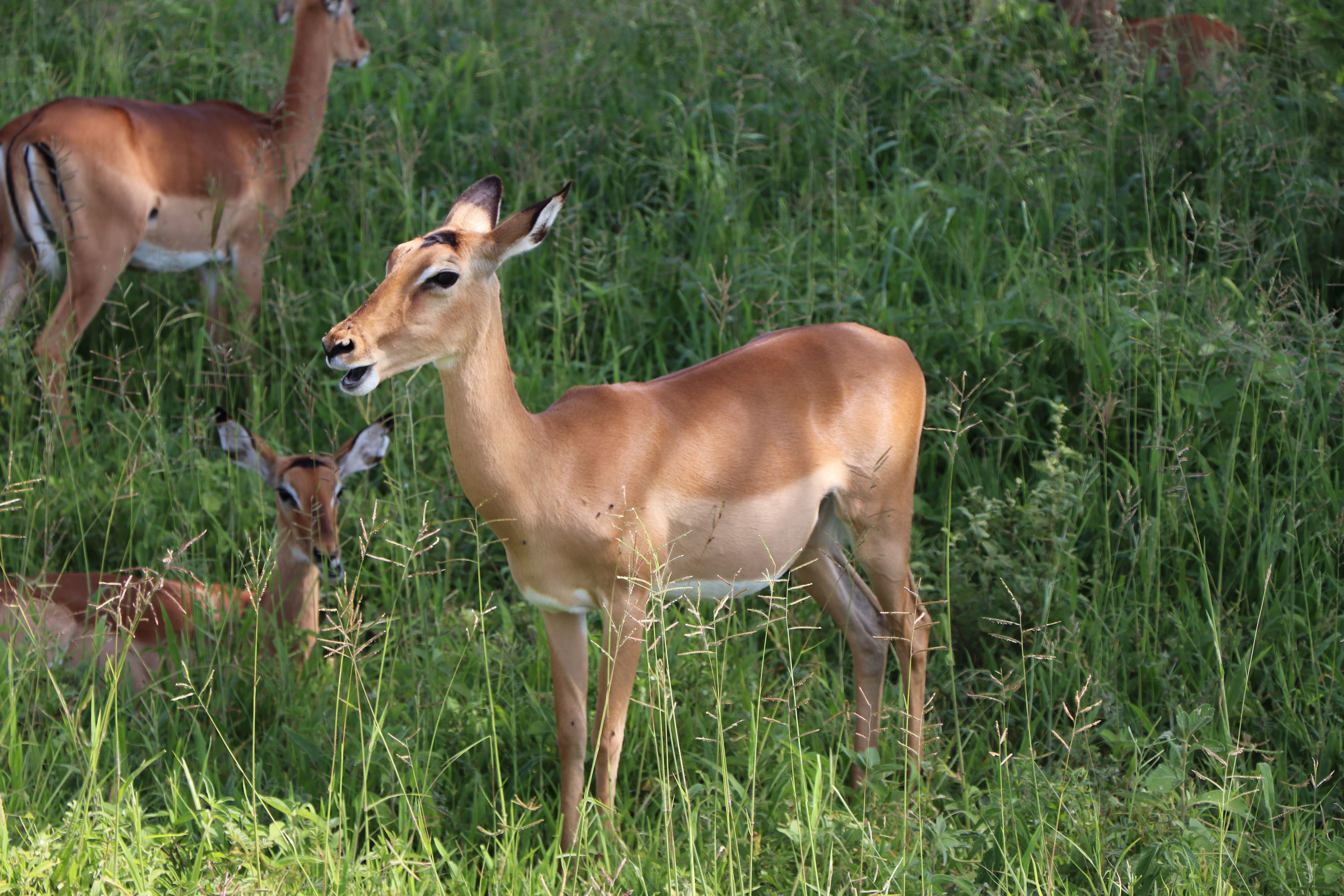 Things to Do in Kigali
