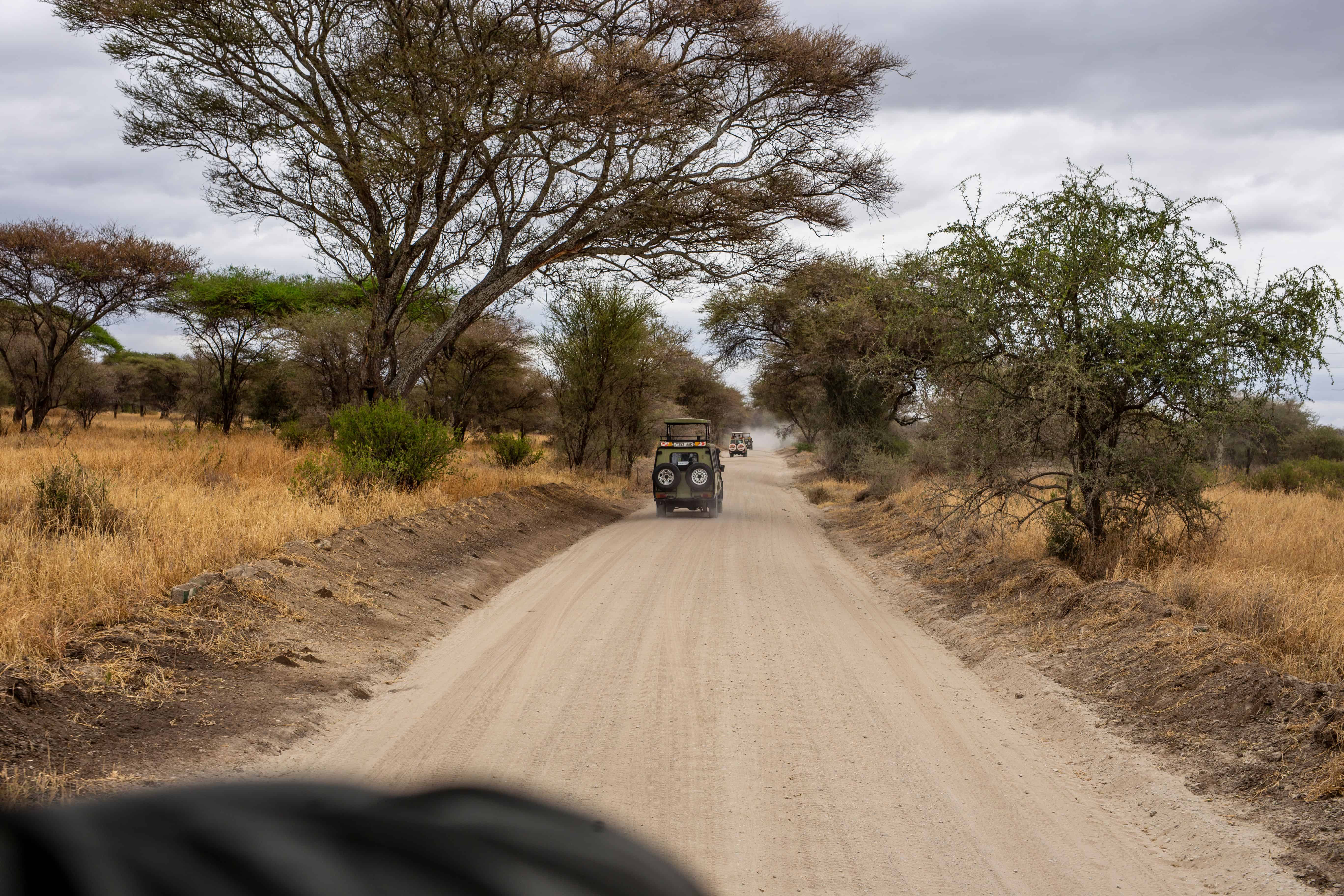 Best Time to Visit Tanzania