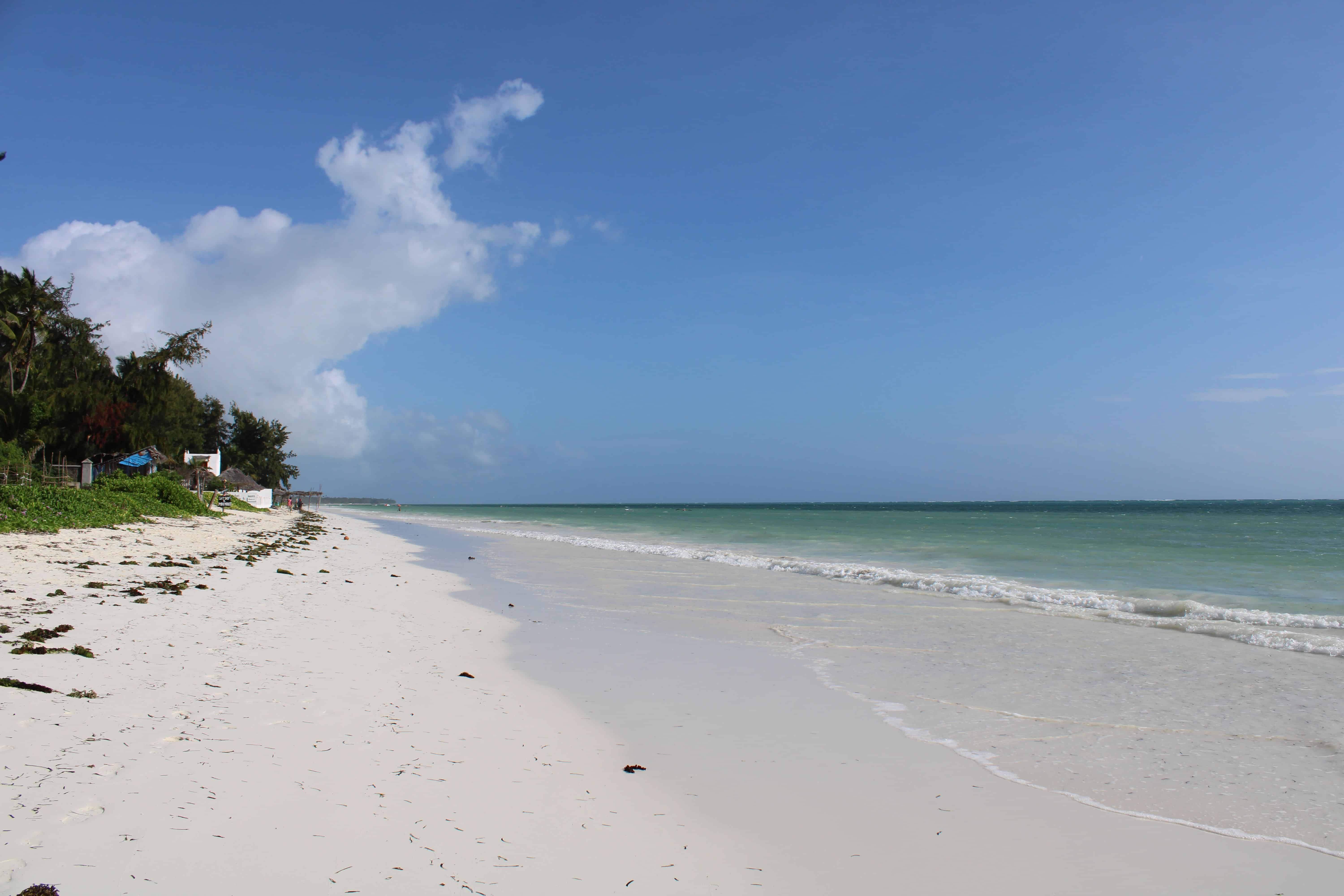 Best Time to Visit Tanzania