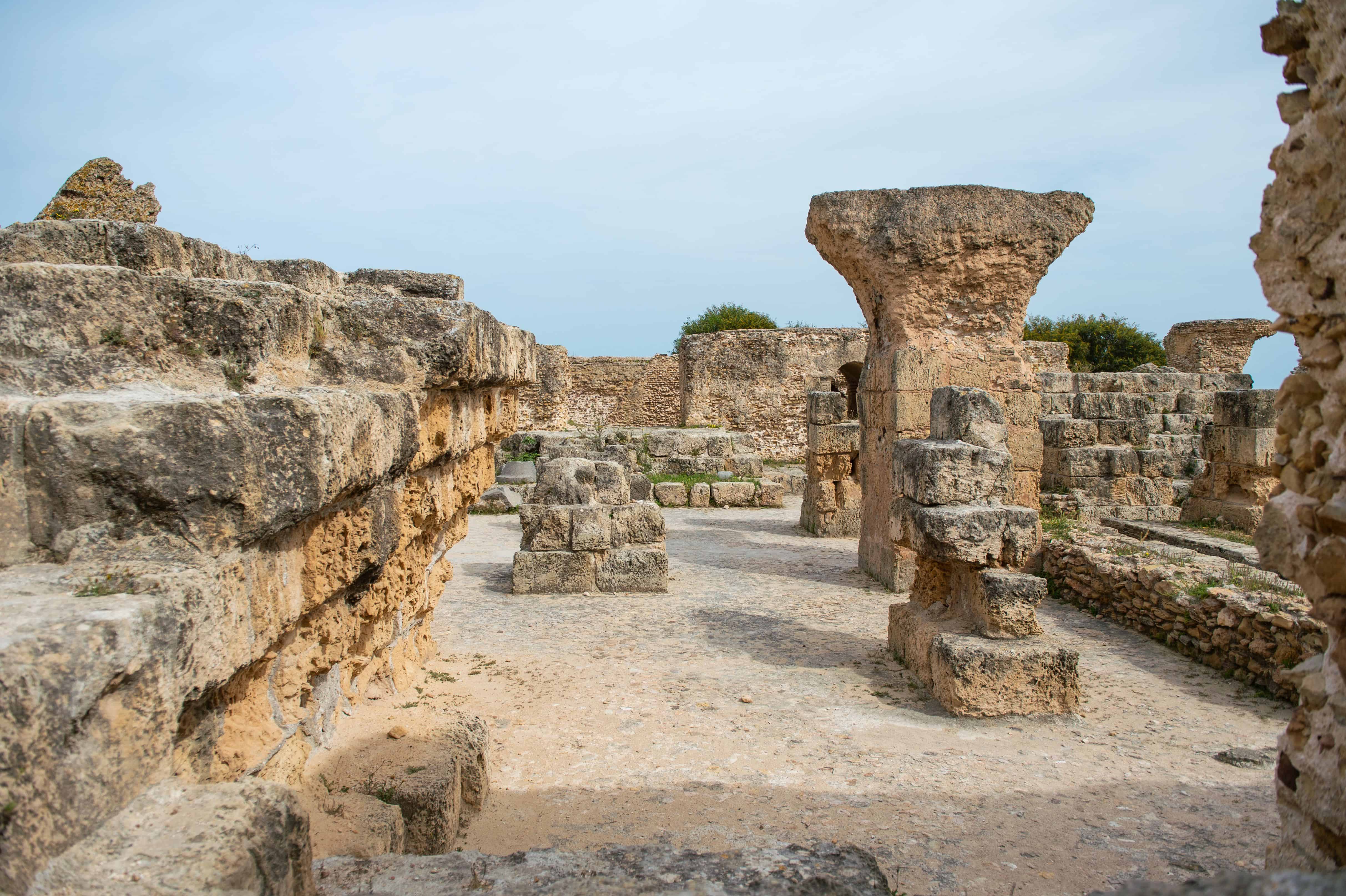 Carthage Tunisia History Guide