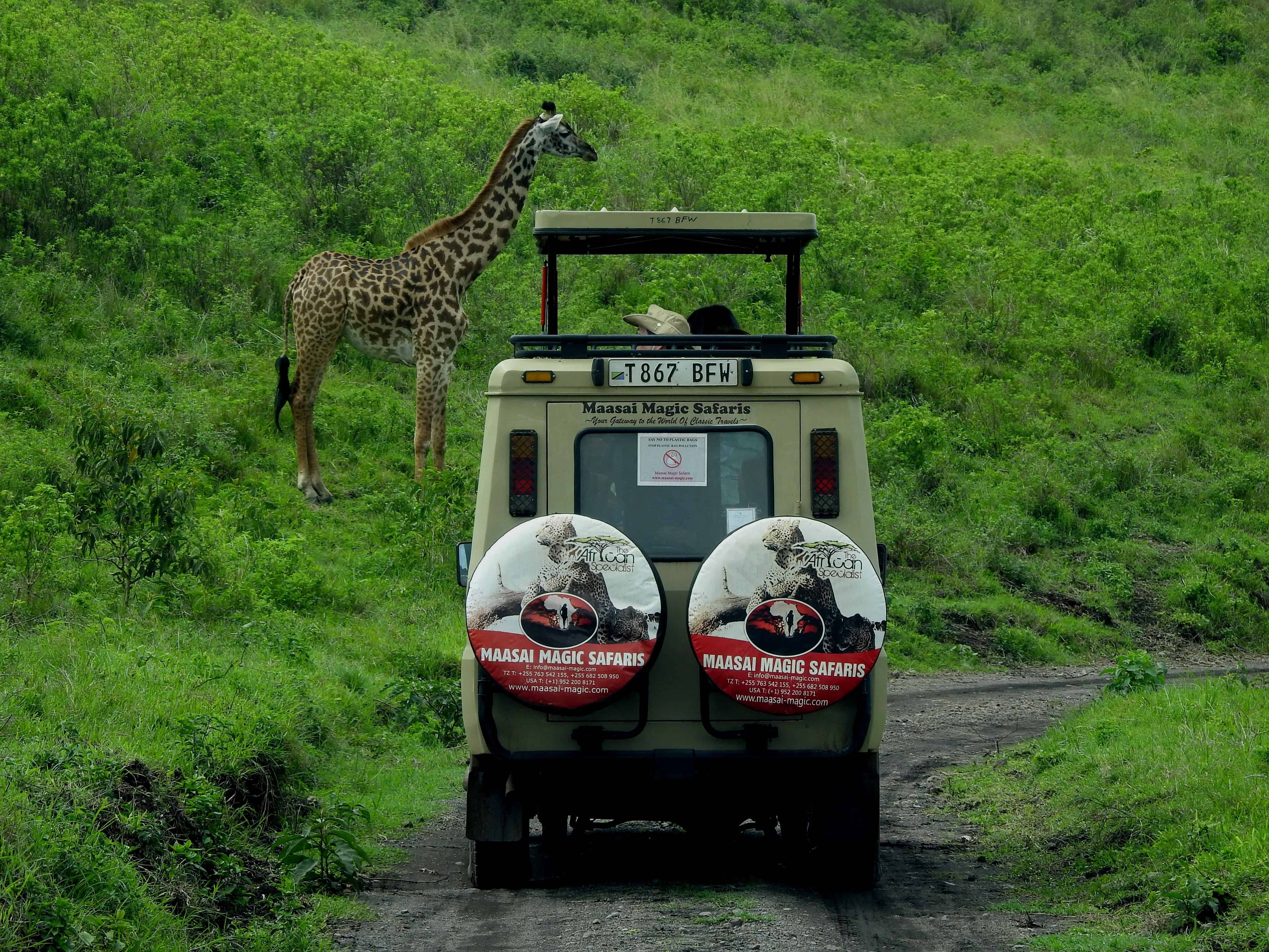 Cost of Safari in Tanzania
