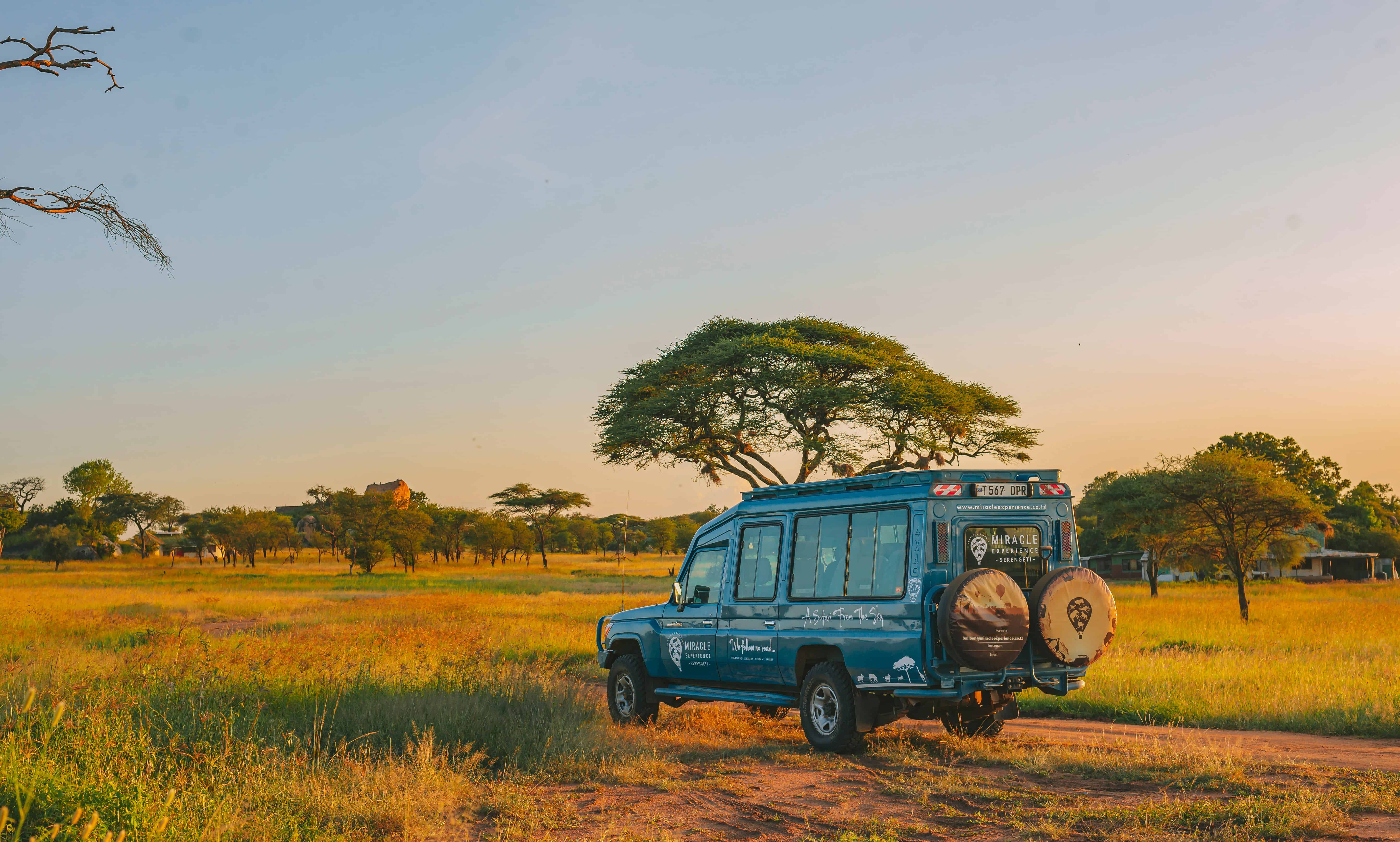 Cost of Safari in Tanzania