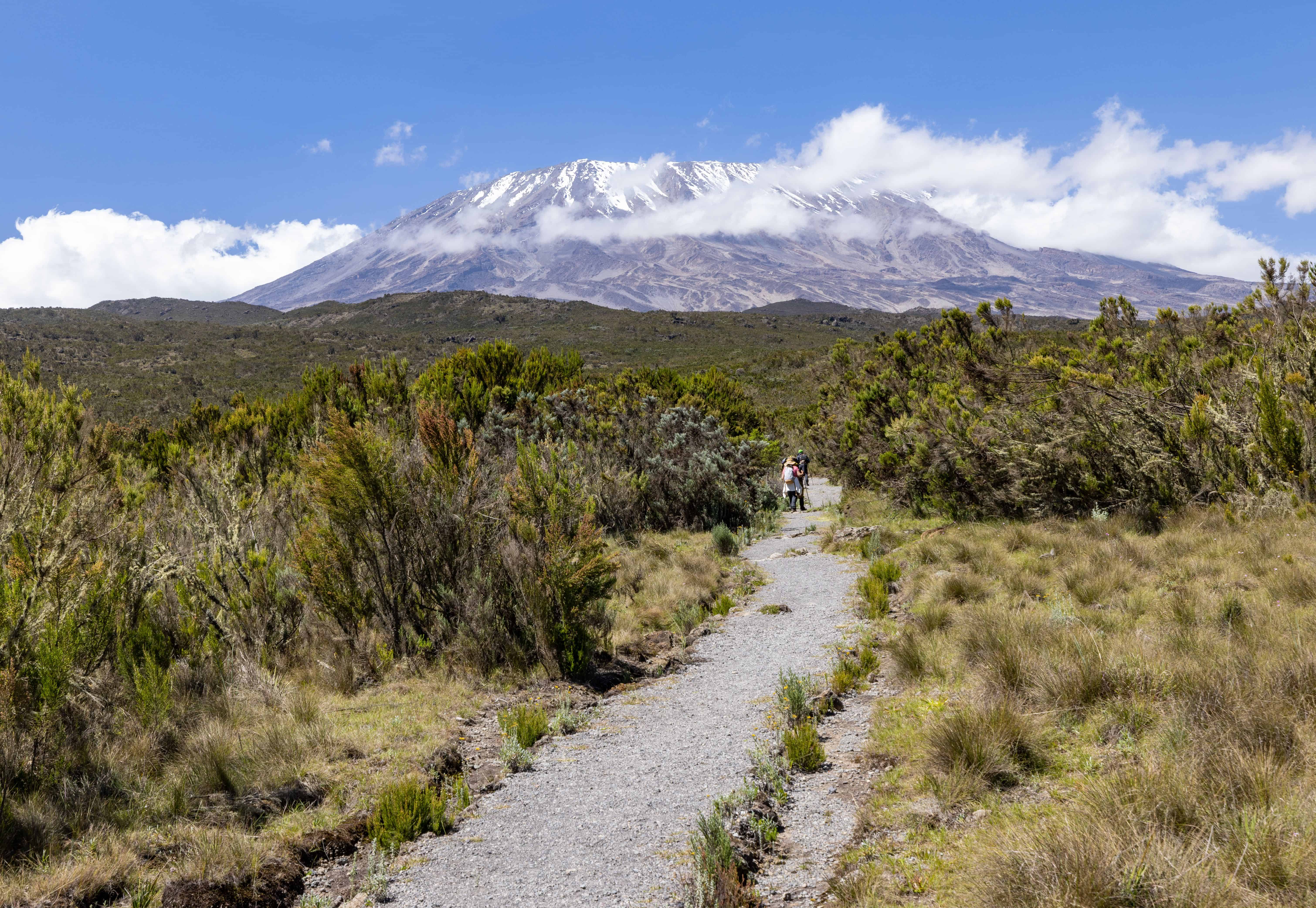 Mount Kilimanjaro Climbing Guide