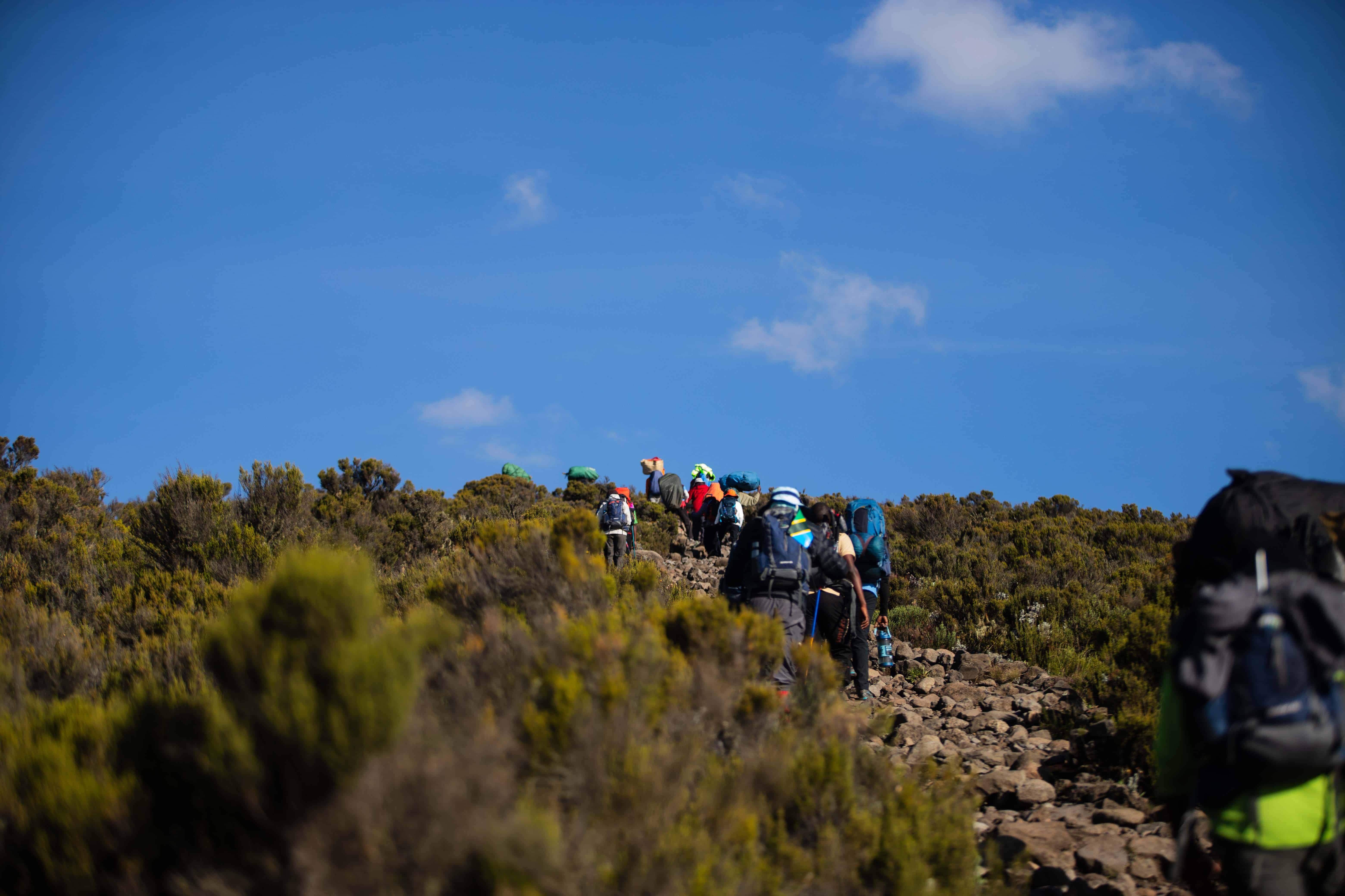 Mount Kilimanjaro Climbing Guide