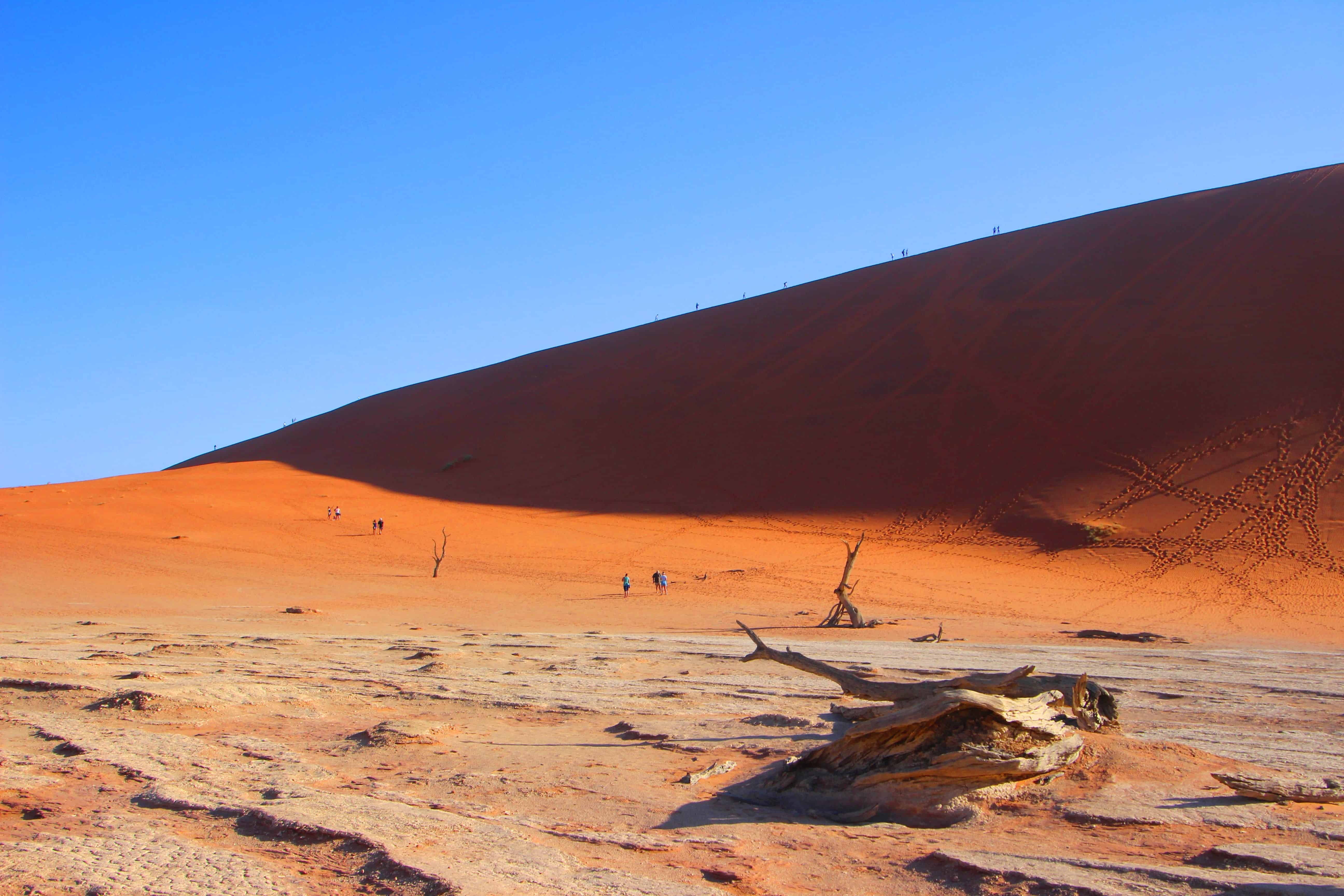 Namibia Road Trip Itinerary