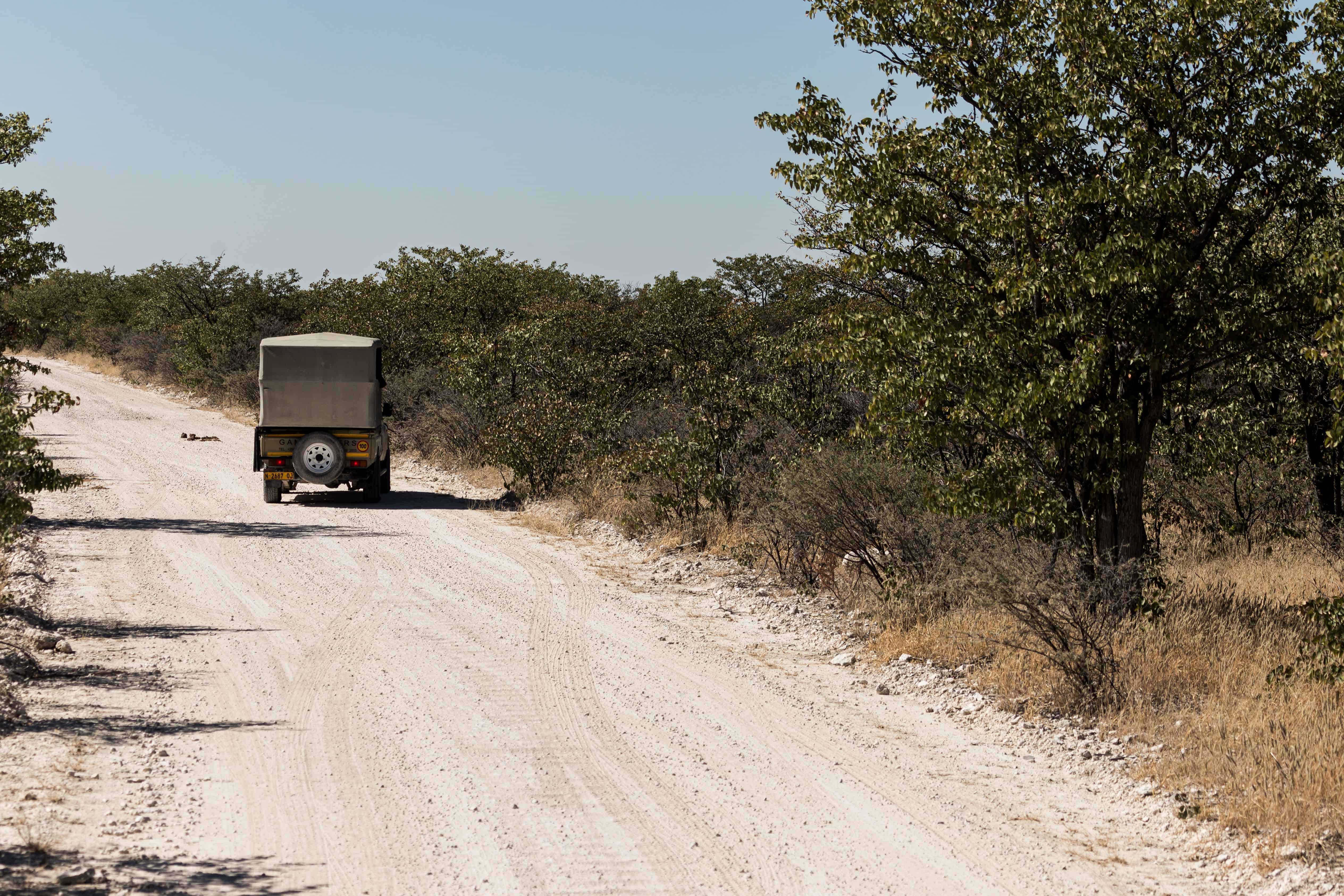 Namibia Road Trip Itinerary
