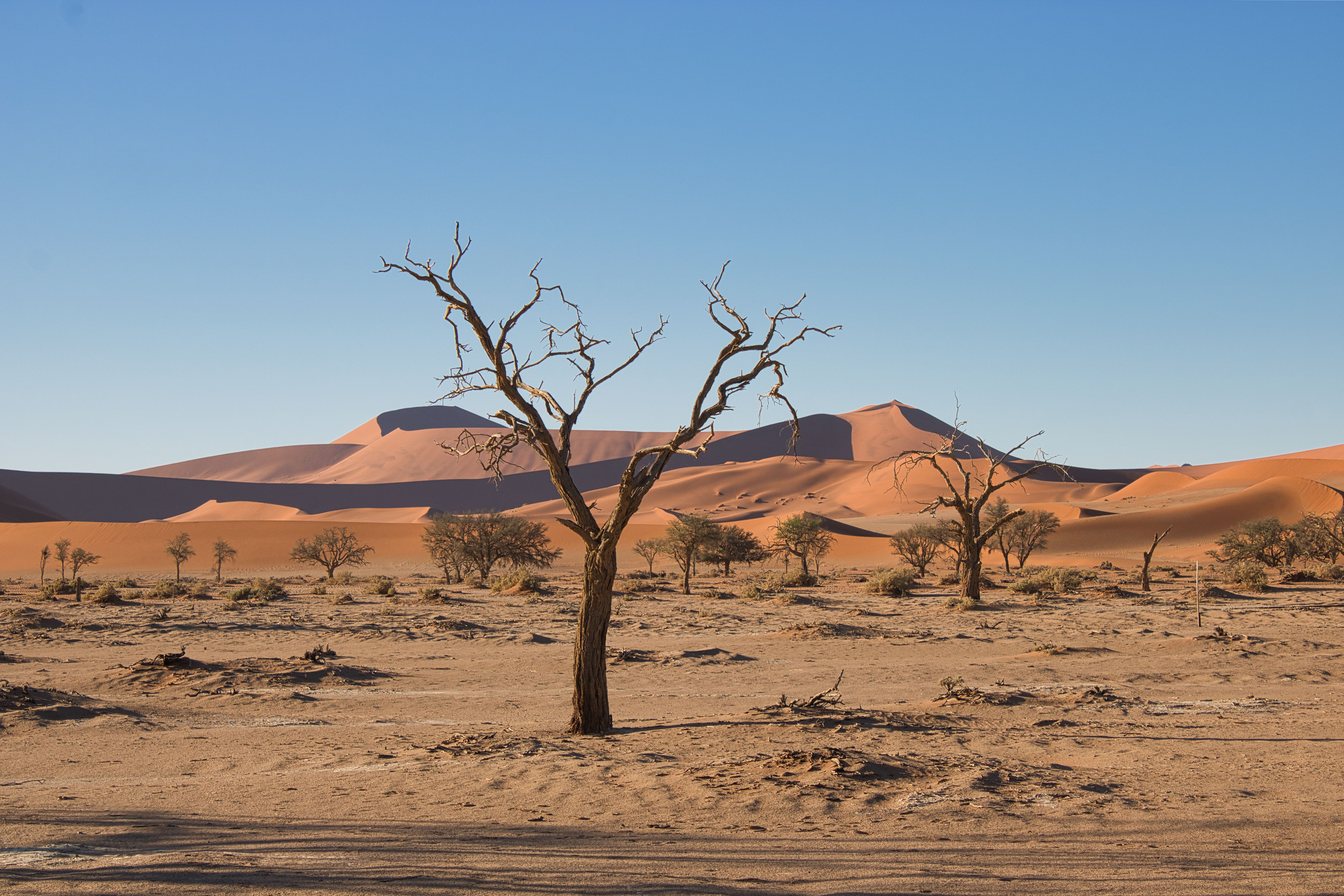 Sossusvlei Travel Guide
