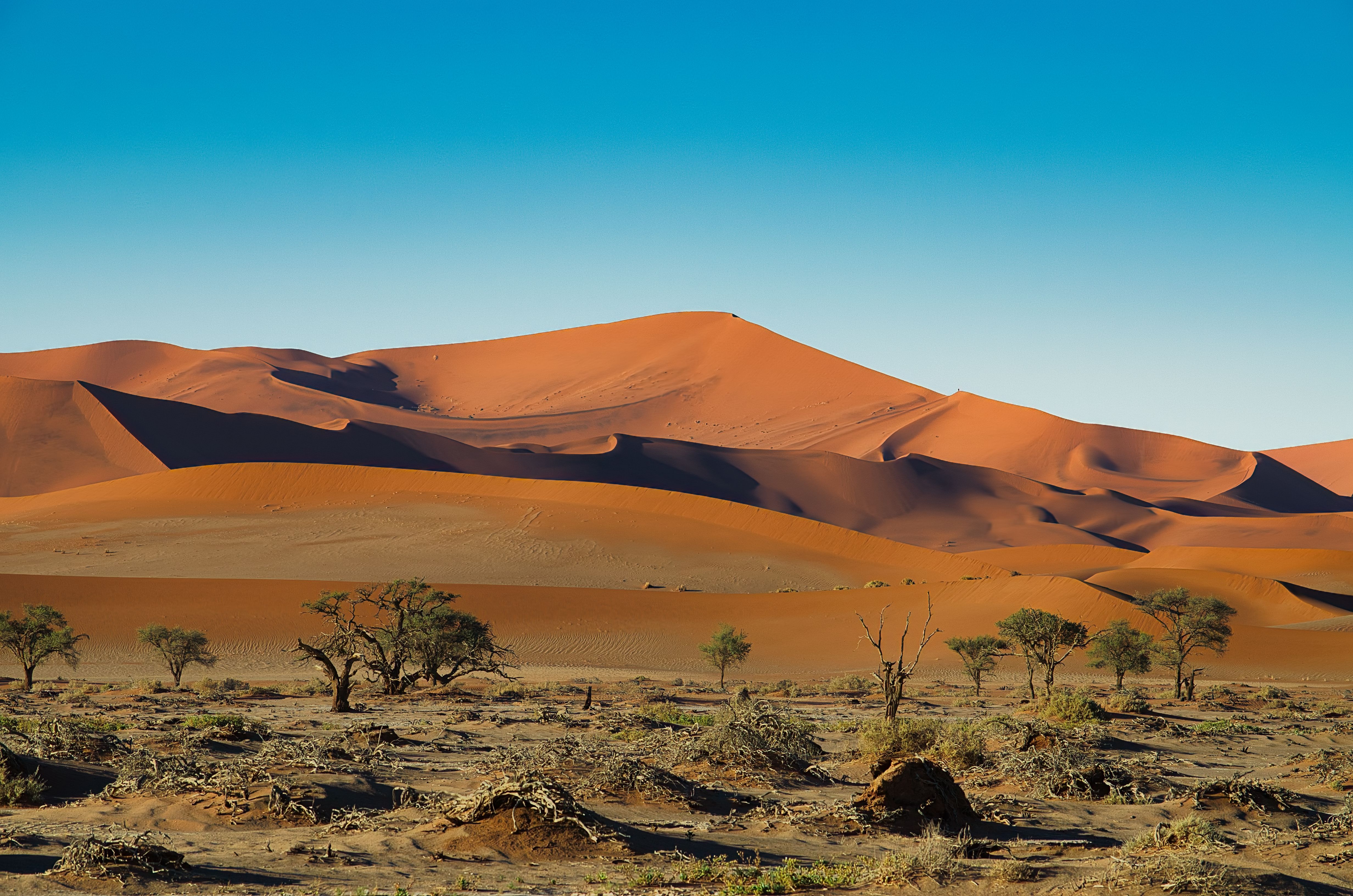 Sossusvlei Travel Guide