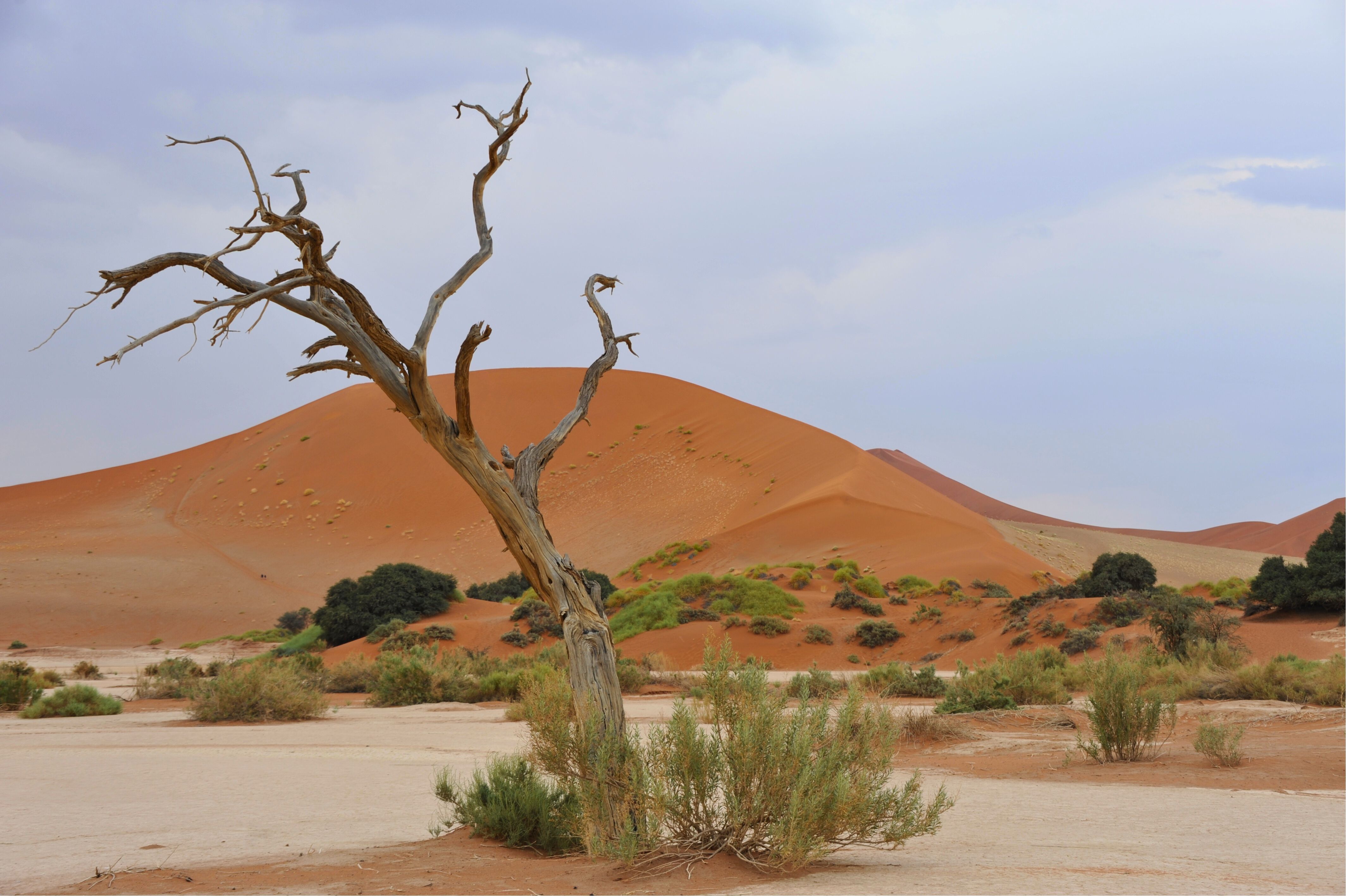 Sossusvlei Travel Guide