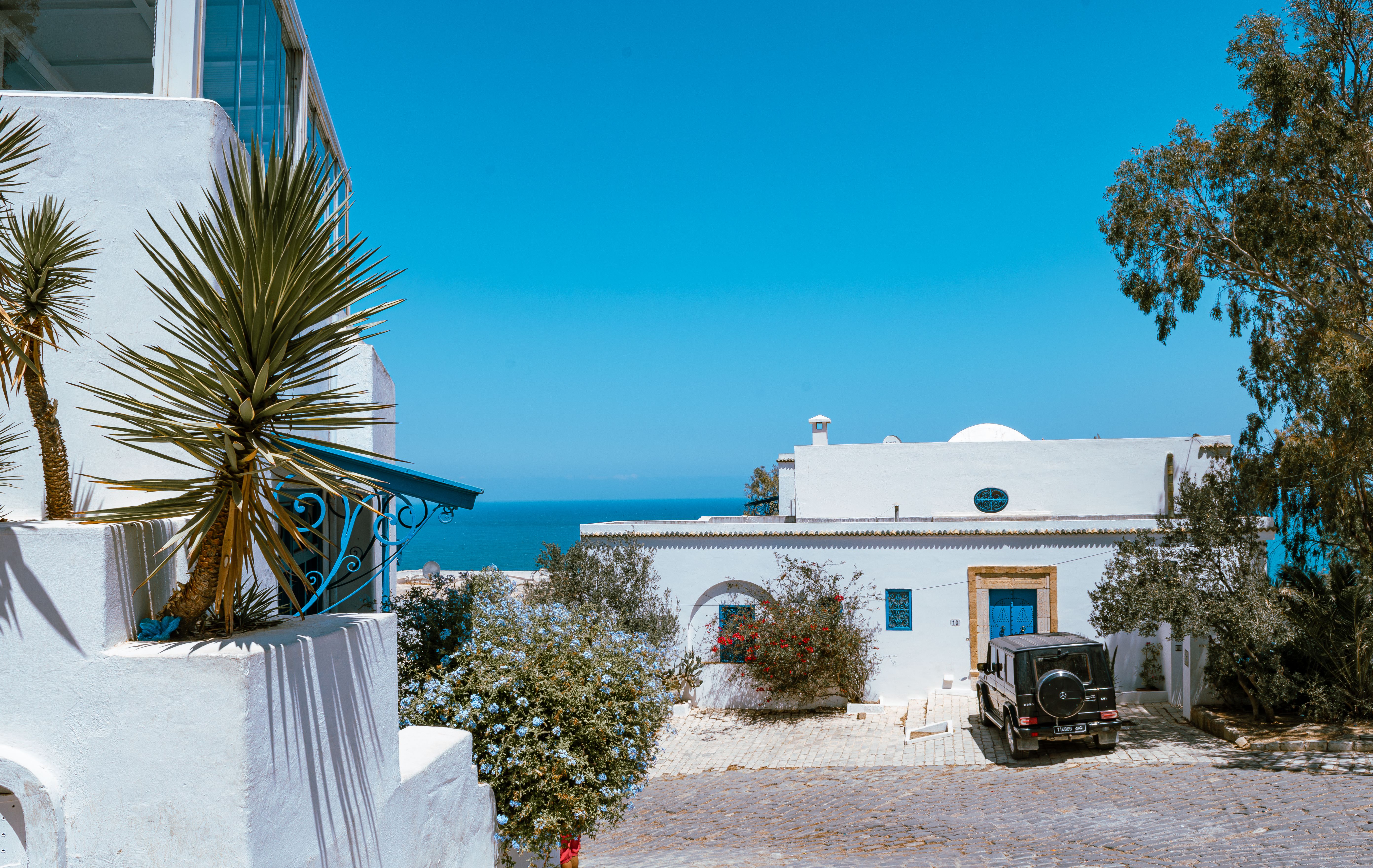 Things to Do in Tunis