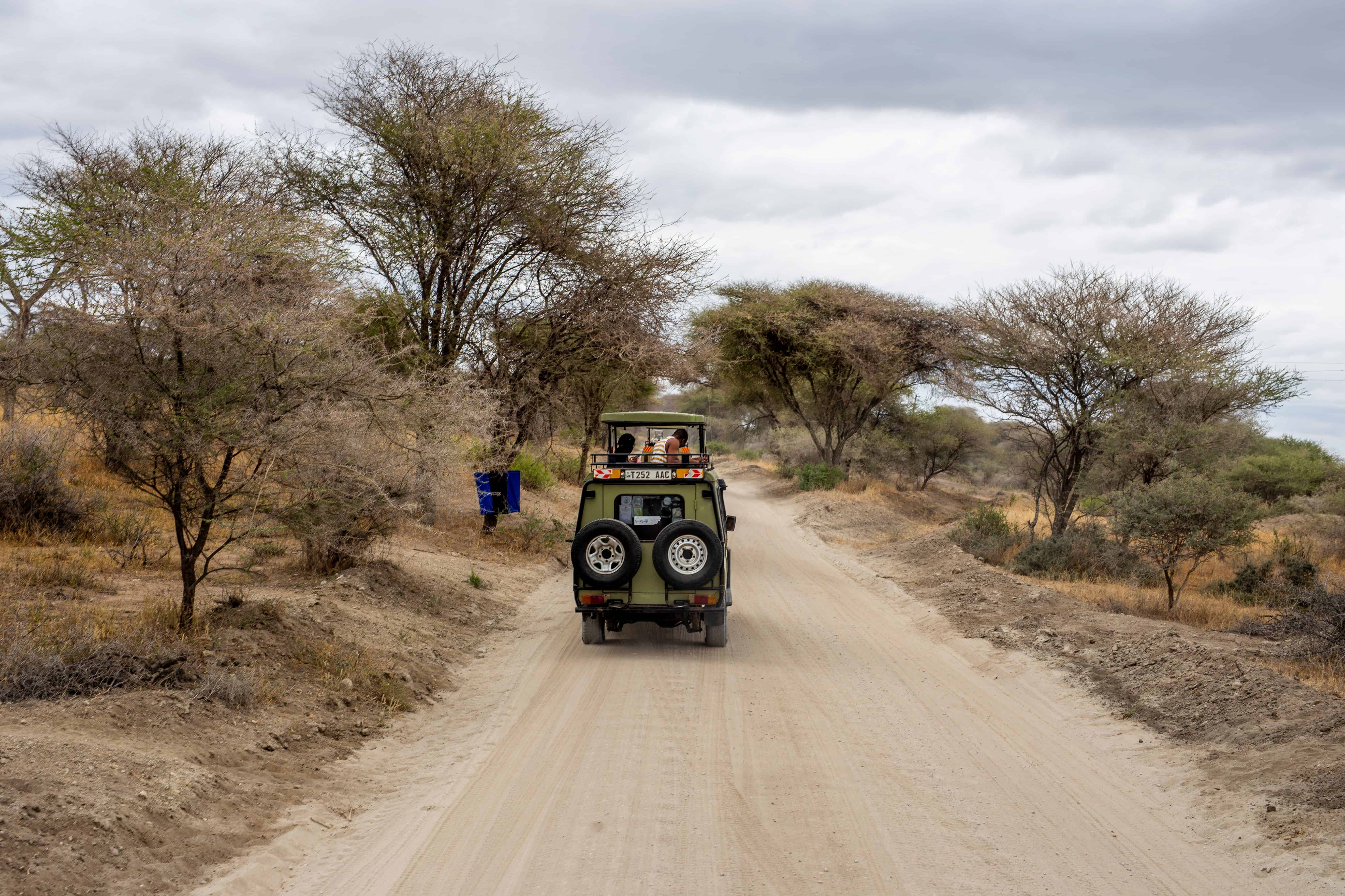 Serengeti Safari Guide